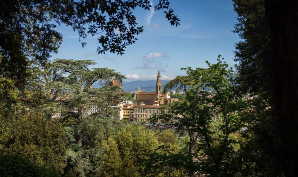 Florence to Siena Day Trip