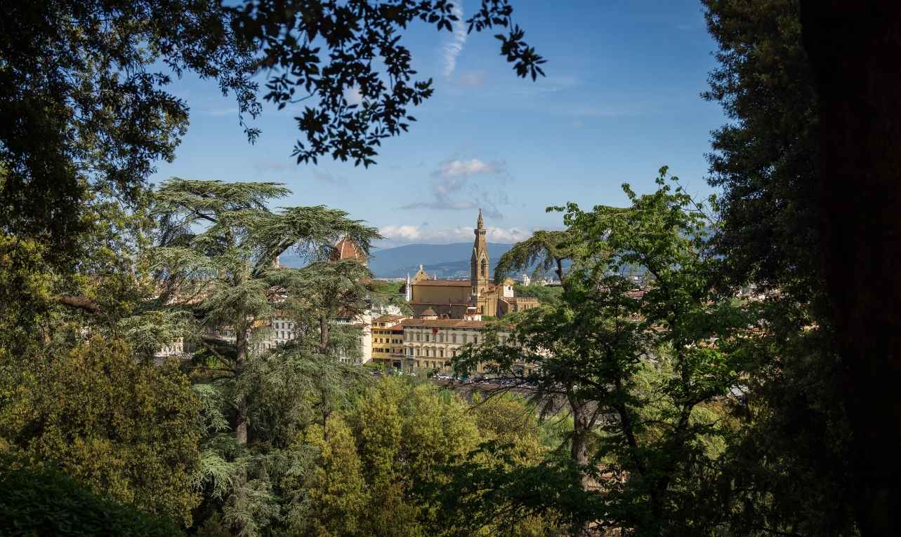 Florence to Siena Day Trip