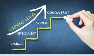 Stages of Your Career